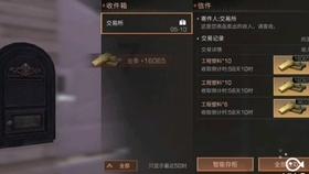 逃离野猫森林