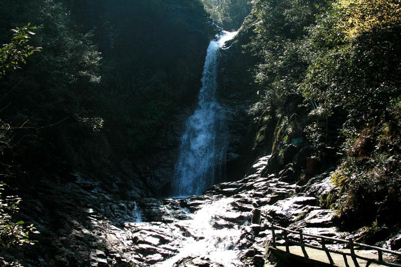 次元喵